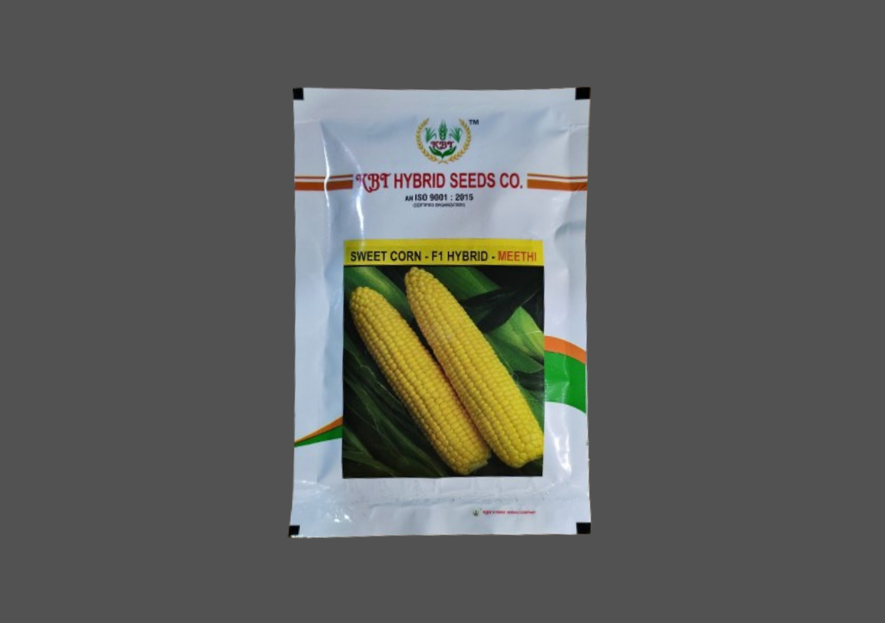 SWEET CORN - F1 HYBRIDE - MEETHI 10g